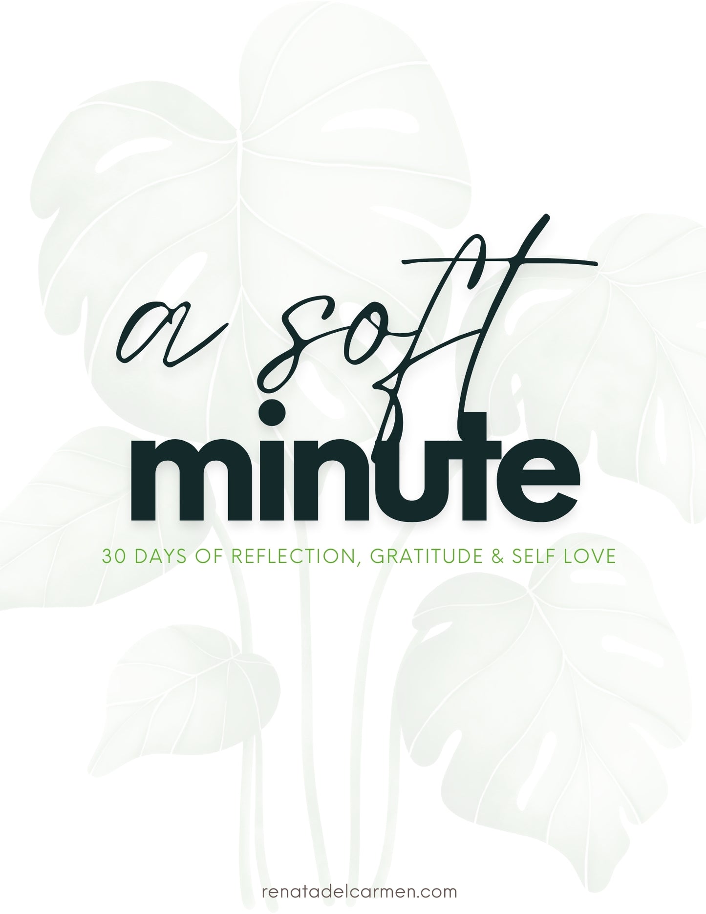 A Soft Minute - 30 days of Reflection Gratitude & Self Love